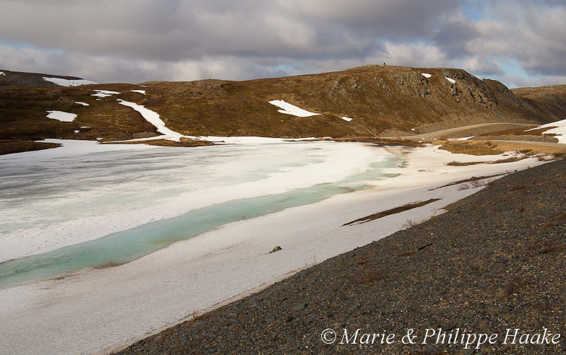 Finnmark 1088.jpg - Le long de la peu fréquentée route 98, en direction du Porsangerfjord, le 4 juin 2012! (Norvège, juin 2012)